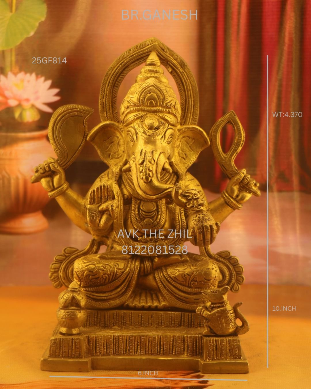 BR.GANESH