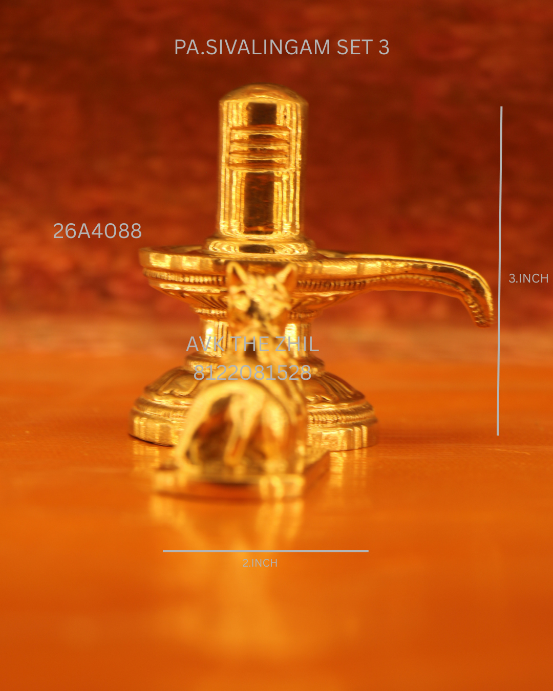 PA.SHIVALINGAM 3