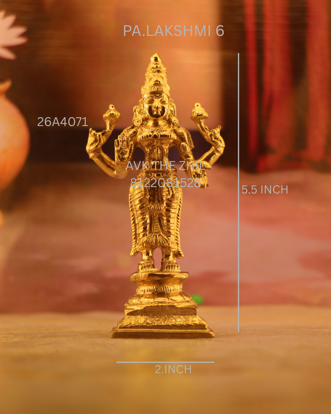 PA.LAKSHMI 6